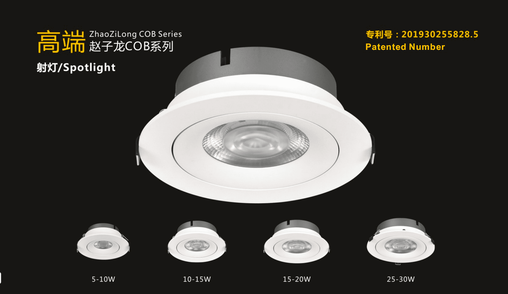 ZhaoZiLong COB Series